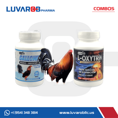 Combo Multivitamina y Oxigenador - Gallomix y L-Oxytrin Biovet Pharma