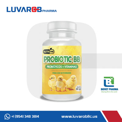 Vitamina en Polvo para Pollitos - Probiotic BB