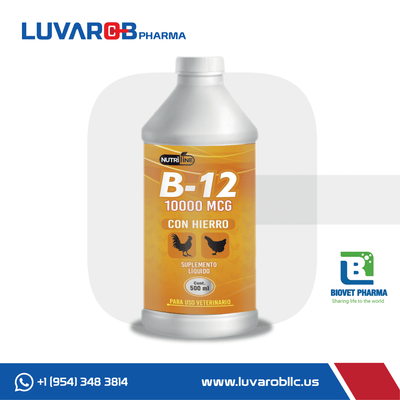 Vitamina B12 con hierro - B12 10000 MCG + Hierro